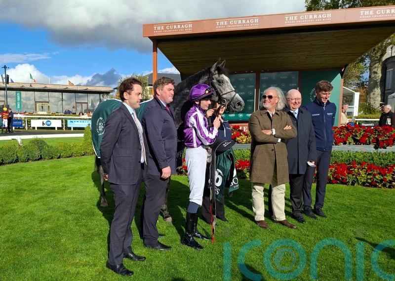 Dorset delivers in Goffs Million for Ballydoyle