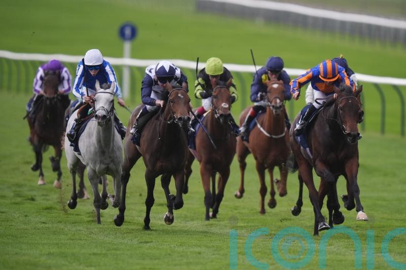 Breeders’ Cup emerges as possibility for Havana Anna