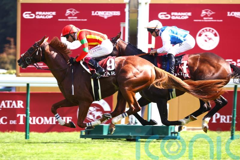 Murphy hoping to help realise Arc Dream for Japan