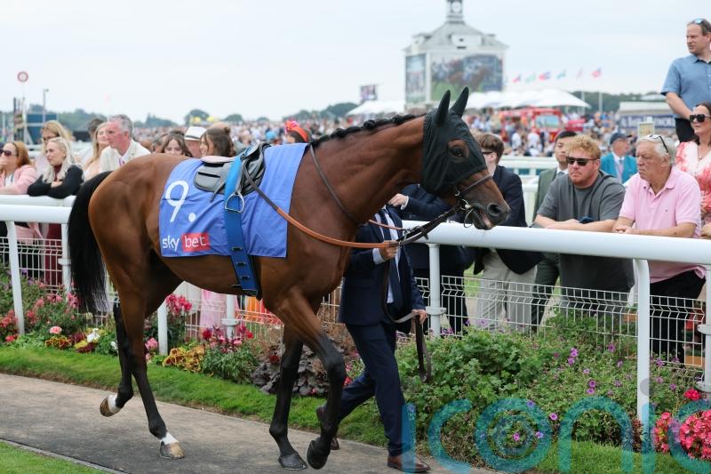 Foret run could provide Maranoa Charlie’s career finale