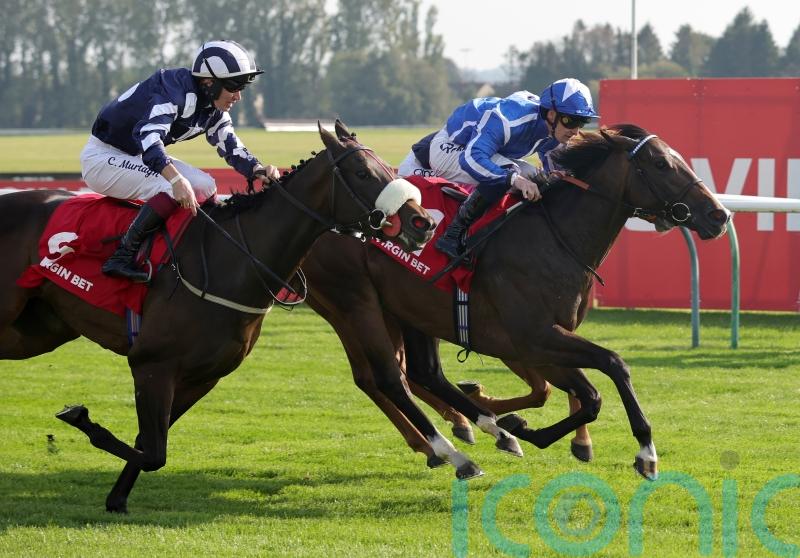 Sky Majesty to lead Haggas’ dual Abbaye challenge