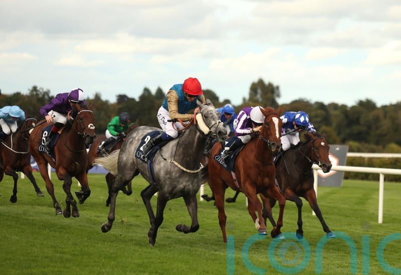 Fallen Angel primed for high-class Chariot race at Newmarket