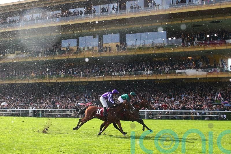 Daryz ‘really well’ after Arc heroics, but no decision yet on future plans