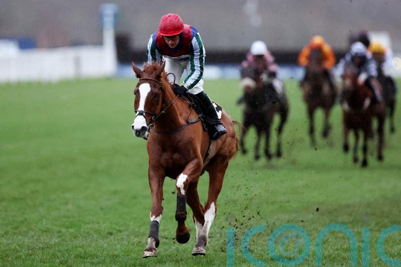 Windbeneathmywings nearing take off for hurdling campaign