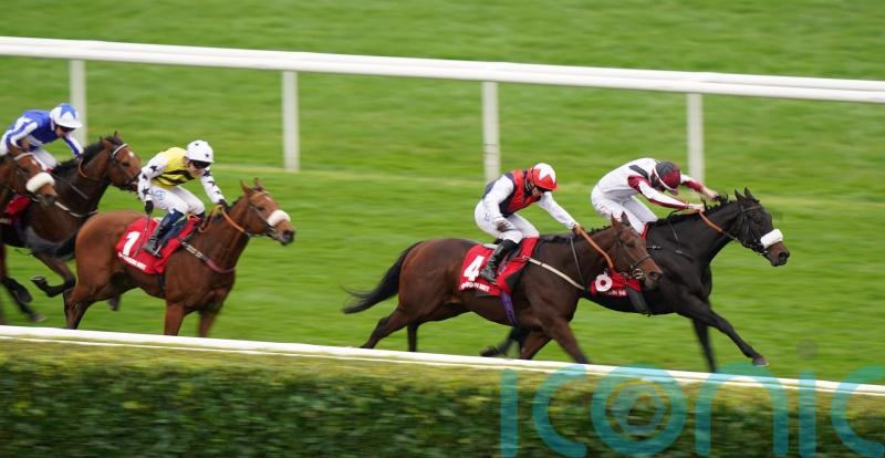 Copper Knight &lsquo;in grand form&rsquo; ahead of his own race