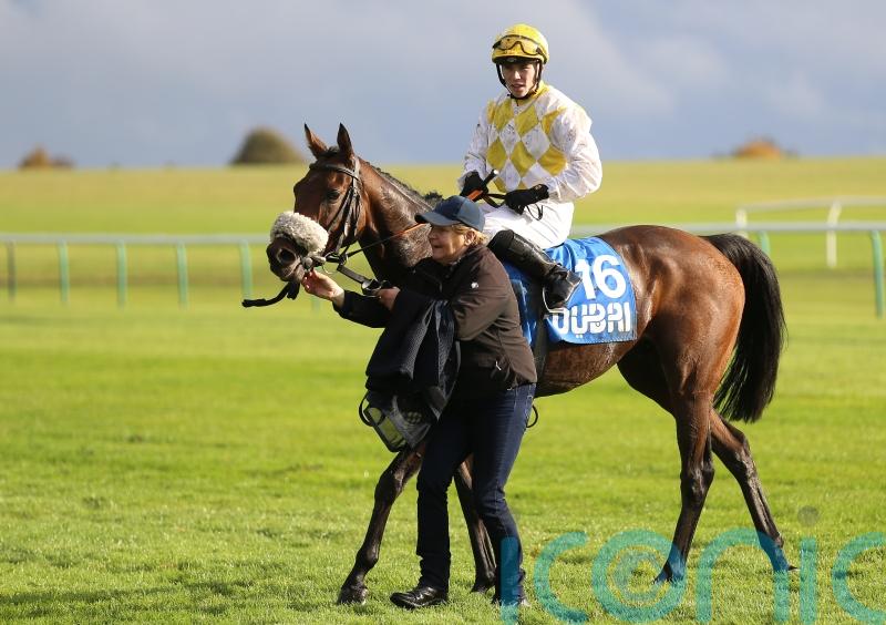 Alphonse Le Grande back at Newmarket after last year’s Cesarewitch drama