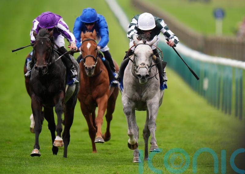 Gewan surprises big names with impressive Dewhurst success