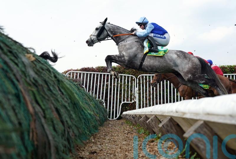 Resplendent Grey ready to make Carlisle return