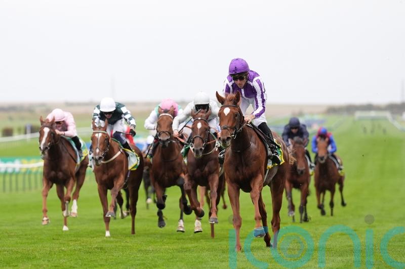 Burke backing Evolutionist to develop into Guineas contender