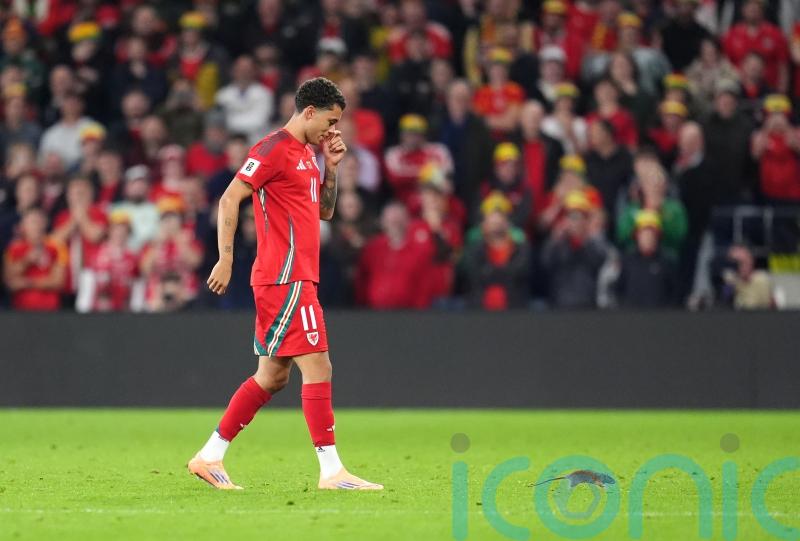 Cardiff defend pest control policy after rat halts Wales match