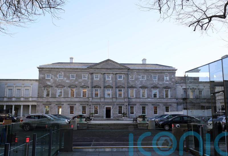 TDs’ and senators’ hearing to be tested in Leinster House by charity
