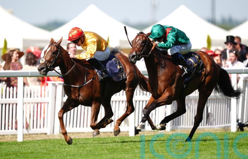 Cercene to return next year as Breeders’ Cup bid ruled out