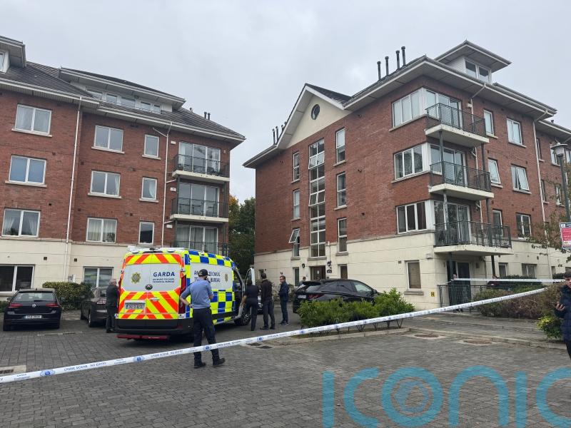 Teenager dies following suspected stabbing attack in Dublin