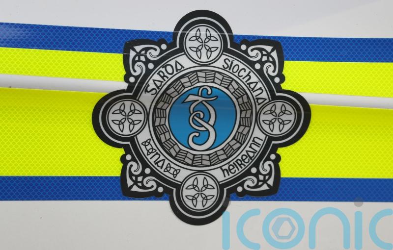 Appeal issued in relation to alleged serious assault of girl in west Dublin