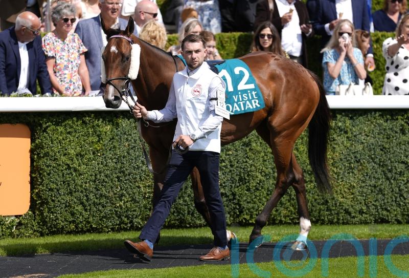 Jack Davison announces death of star sprinter She&rsquo;s Quality