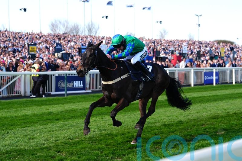 Julius Des Pictons will have to wait for novice chasing campaign