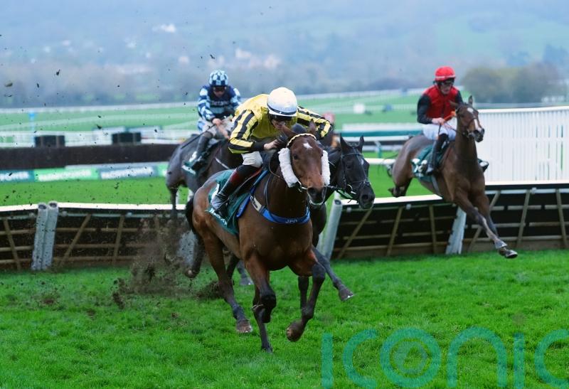 Lavender Hill Mob stars with 33-1 Cheltenham surprise