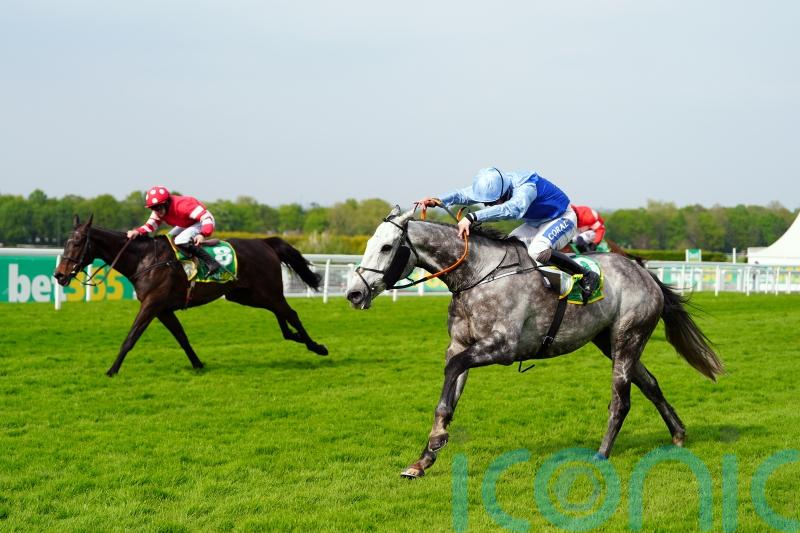 Replendent Grey firmly on course for Newbury Gold run