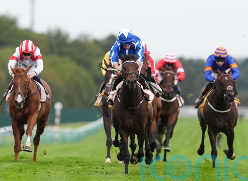 The Reverend could make hurdling bow this week