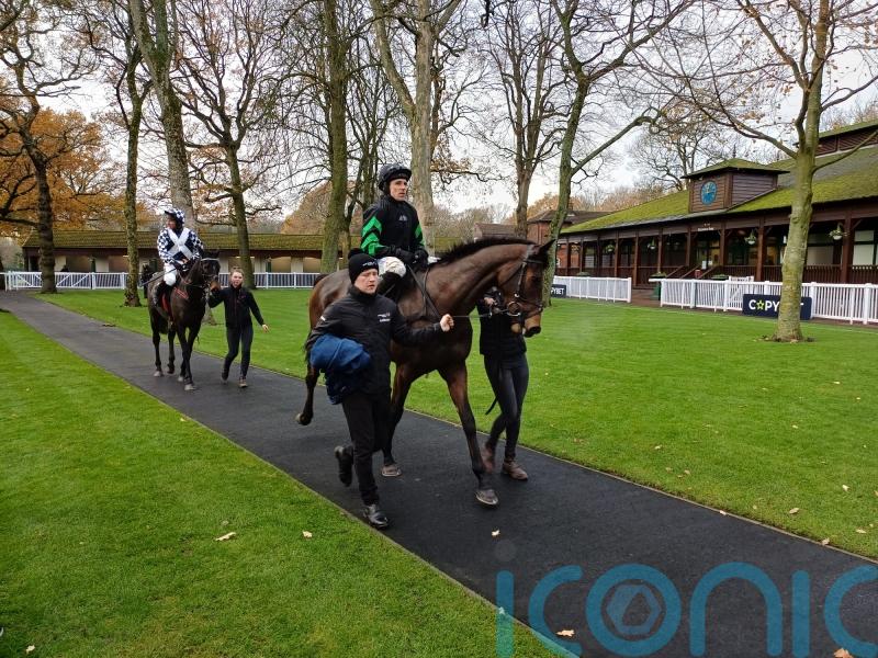 All systems go for Mydaddypaddy, insists Skelton