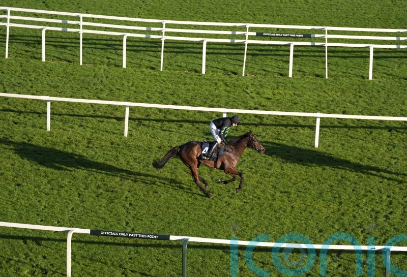 Skelton retains full faith in Mydaddypaddy despite Aintree defeat