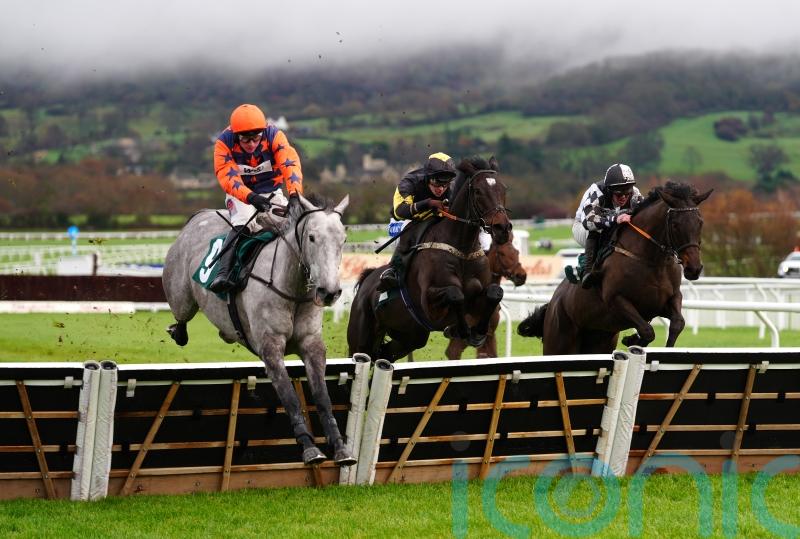 Cheltenham or Kelso for Kingston Queen