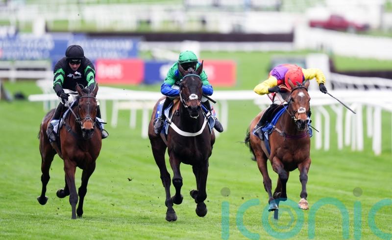 Old Park Star rules supreme for Henderson at Cheltenham