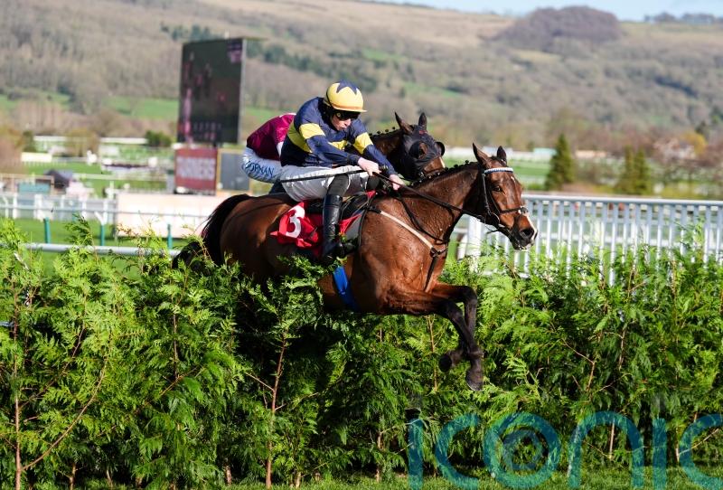 Final Orders makes it a Cheltenham first for Conor Stone-Walsh