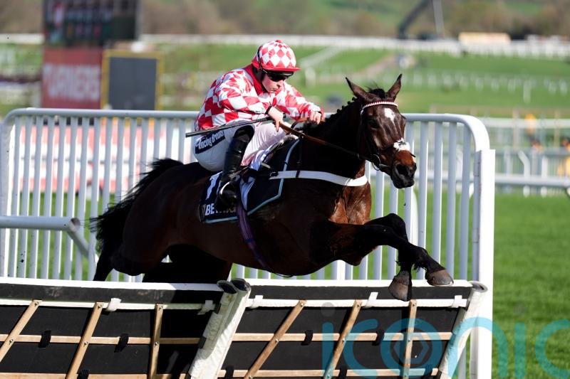 Jingko Blue puts James Bowen and Nicky Henderson in front again