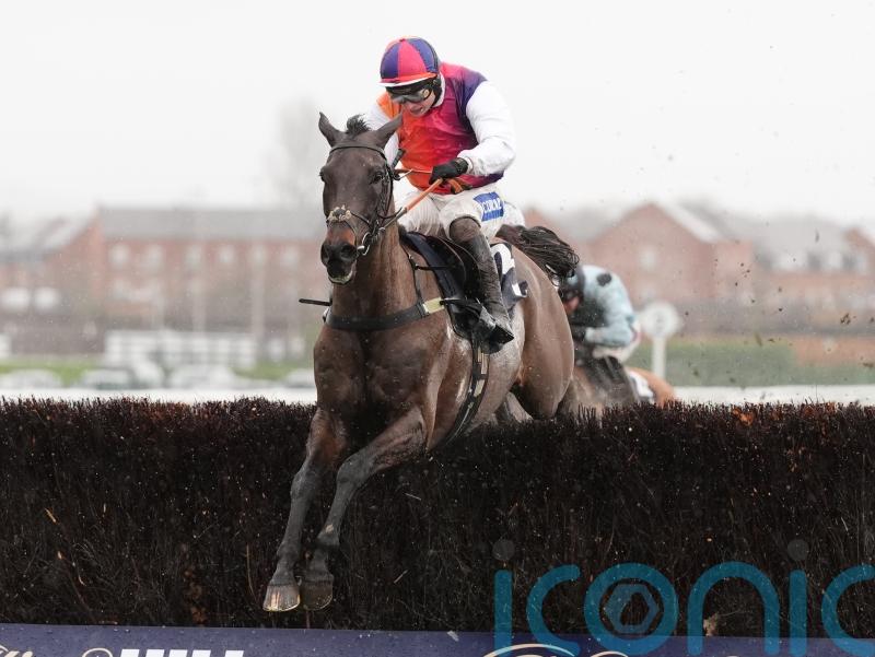 Haiti Couleurs primed for Cheltenham Gold Cup moment