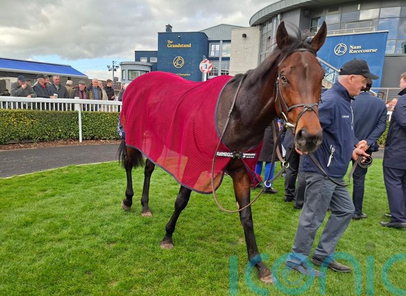 Causeway looks the part with Madrid Handicap strike at Naas