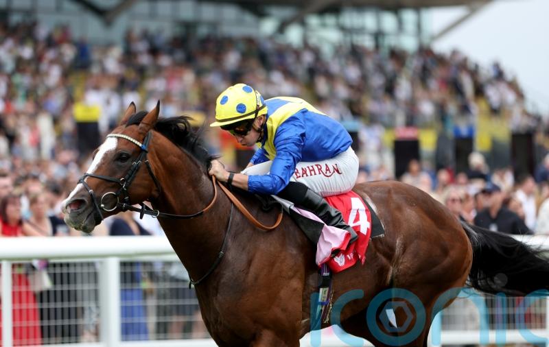 Haggas identifies Newbury as the starting point for More Thunder