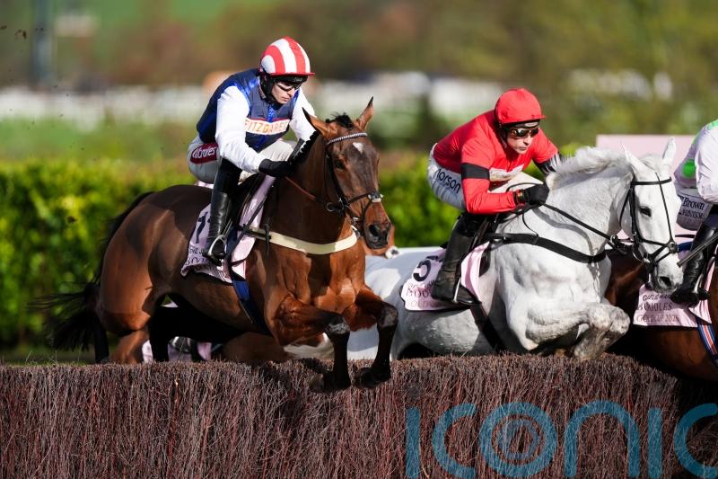 Punchestown bid still possible for The Jukebox Man