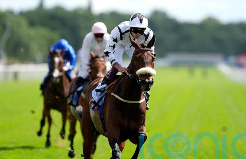 Al Qareem aiming to tower over Goliath rivals at Mussleburgh