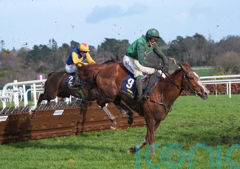 Talk The Talk done for the season as chasing career awaits