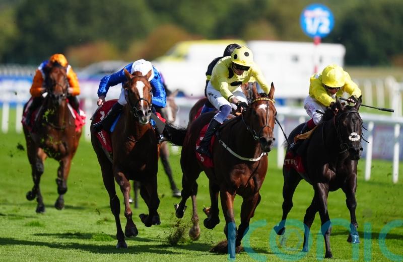 Avicenna pencilled in for Guineas trial starting point