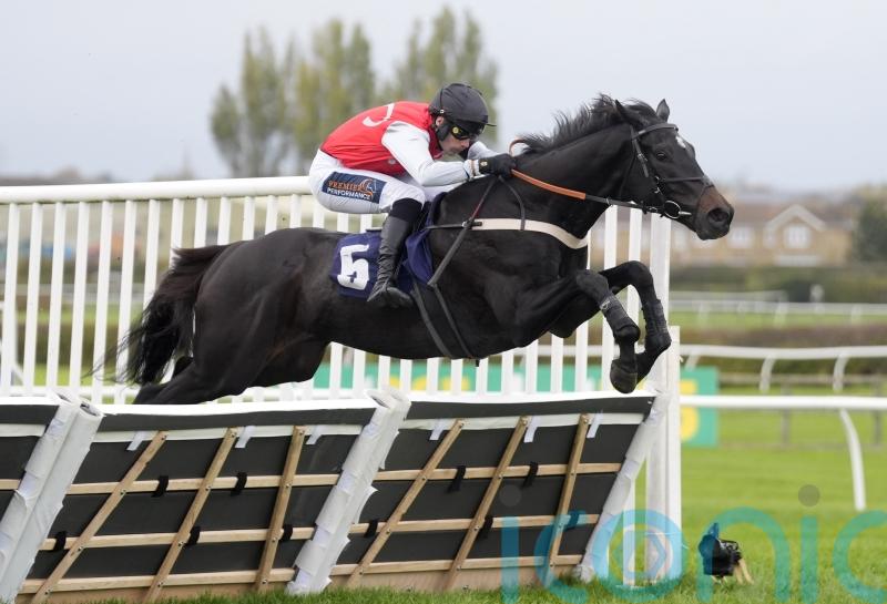 Minella Study aiming to do Nicol proud once more