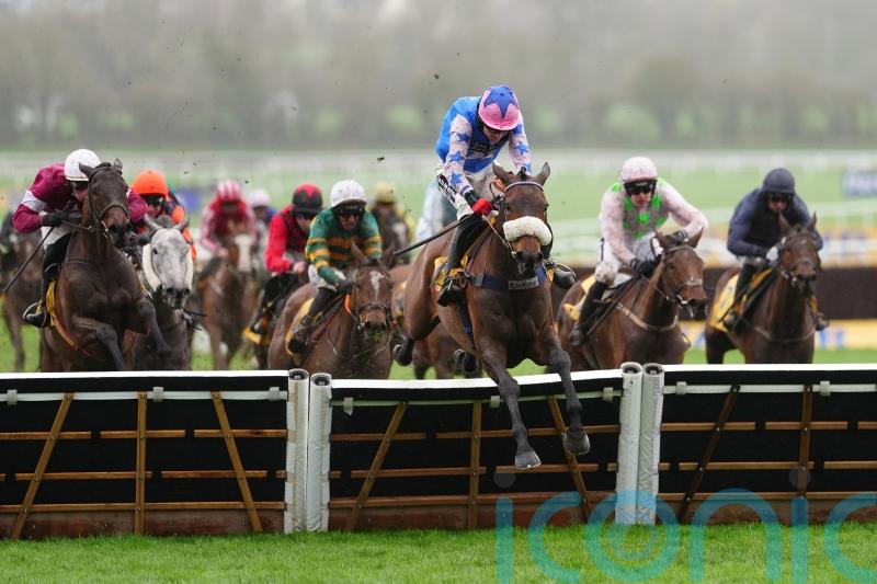 Festival winner White Noise star attraction at Haydock