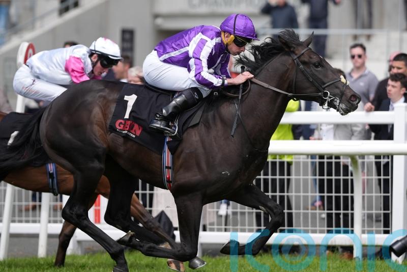 Albert Einstein in line for Newbury weekend appearance