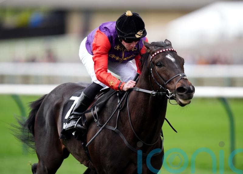 Portcullis makes huge impression in the colours of the King and Queen