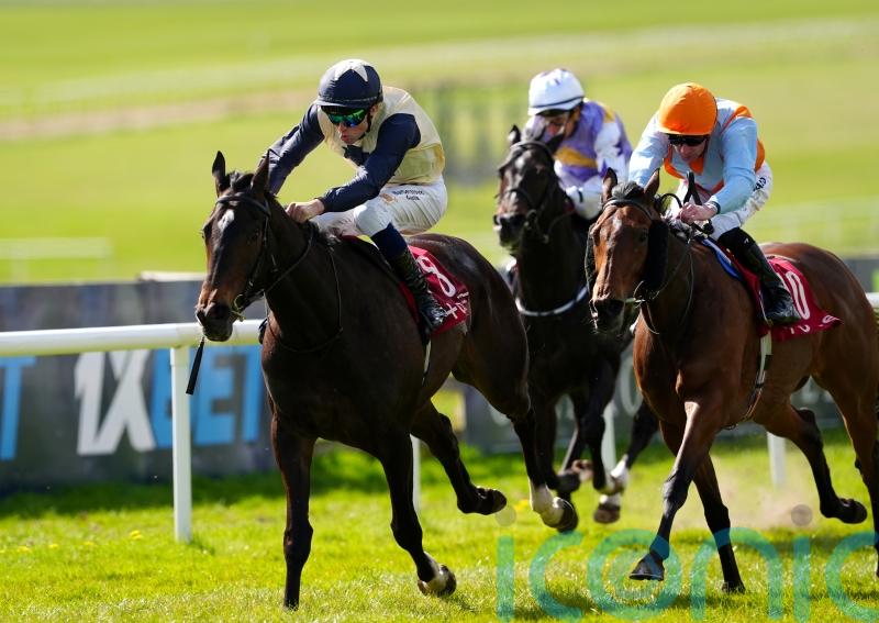 Starford shines to take Alleged Stakes