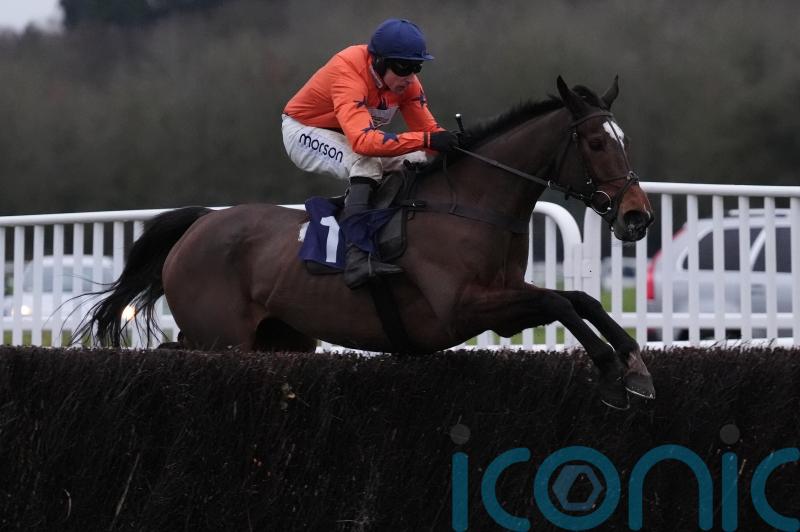 National fancy Panic Attack looking to end season on a high