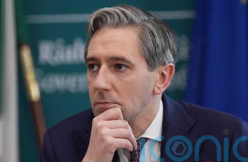 Fuel protests did not prompt decision on income tax cuts, Tanaiste says